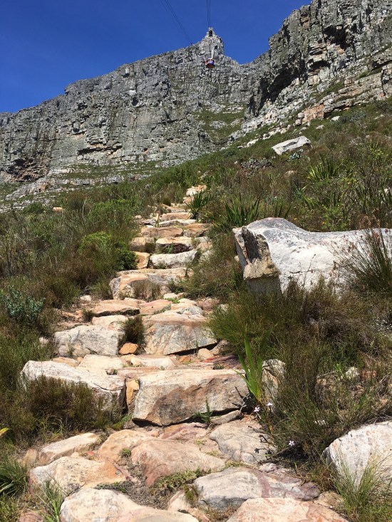Table Mountain Trail