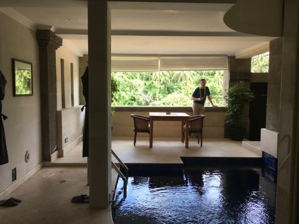 Viceroy Room Exterior