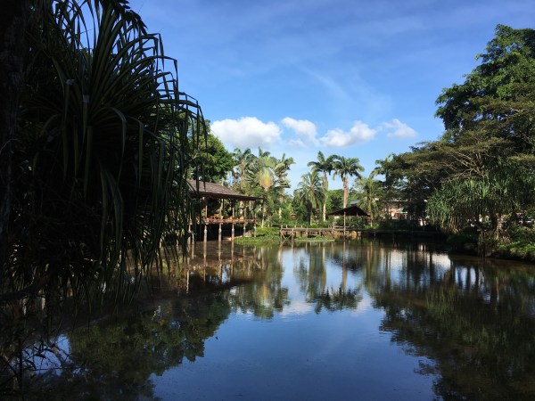 SepilokNature Resort