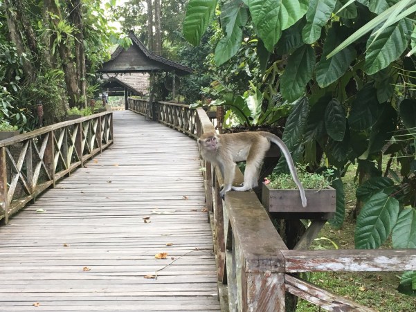 Sukau Rainforest Lodge